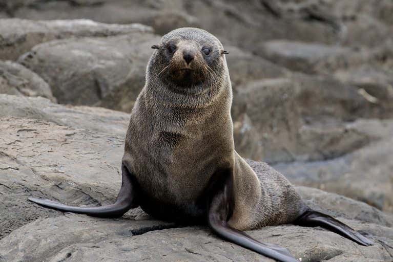 Make friends with the locals!