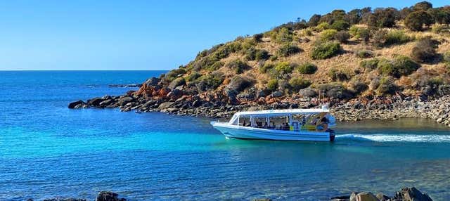 Balade en bateau sur l'île Kangourou