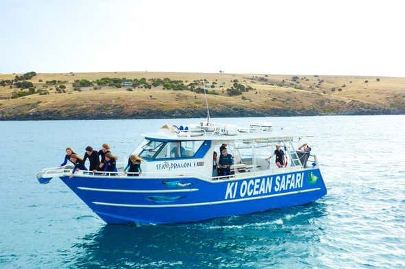 Snorkel with Dolphins or Seals on Kangaroo Island