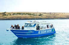 Snorkel com golfinhos ou focas na Ilha Kangaroo