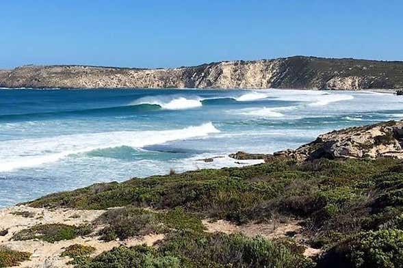 Kangaroo Island Tour