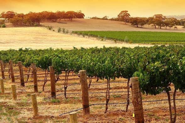 Kangaroo Island Wine & Food Tasting Experience