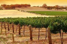 Tour de vinhos e licores pela Ilha Kangaroo