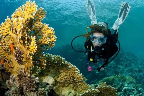 Buceo en la isla de Lord Howe