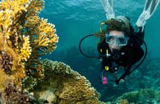 Plongée sur l'île de Lord Howe