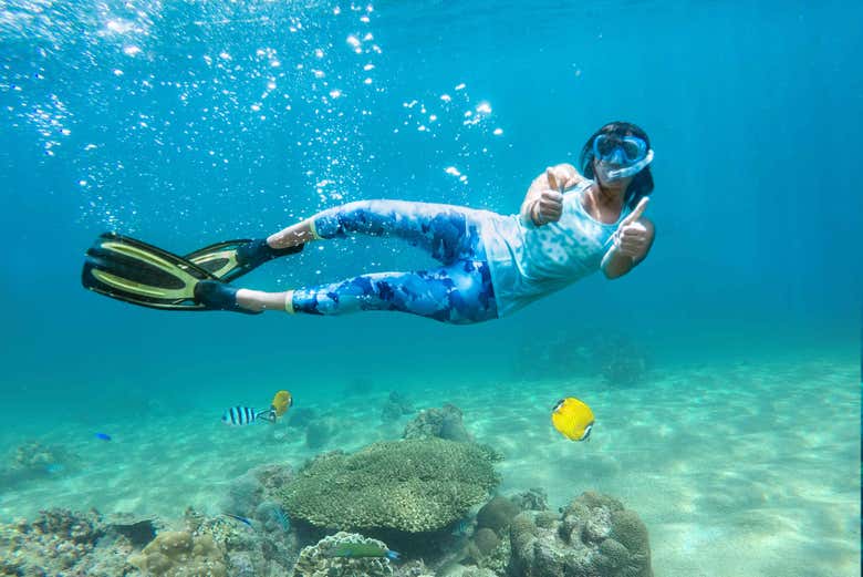 Disfrutando del tour de snorkel