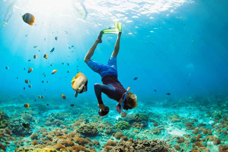 Snorkel en la isla Lord Howe