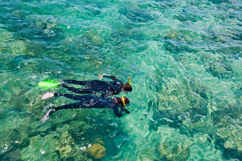 Explorando el arrecife