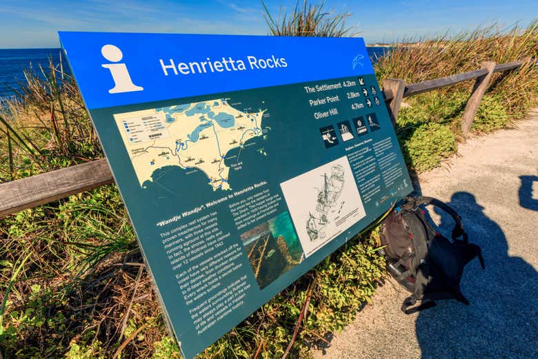 Visite des Henrietta Rocks