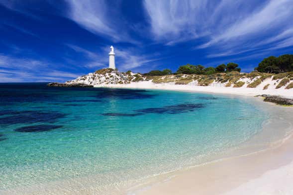 Rottnest Island Tour