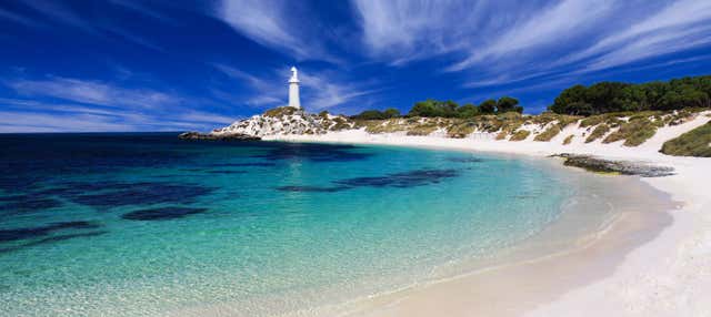Visite de l'île Rottnest