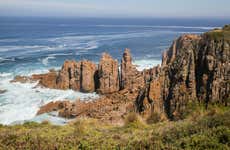 Autobús turístico de la Isla Phillip