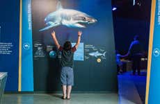 Ingresso do Nobbies Ocean Discovery