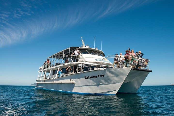 Le bateau à partir duquel vous allez observer les baleines