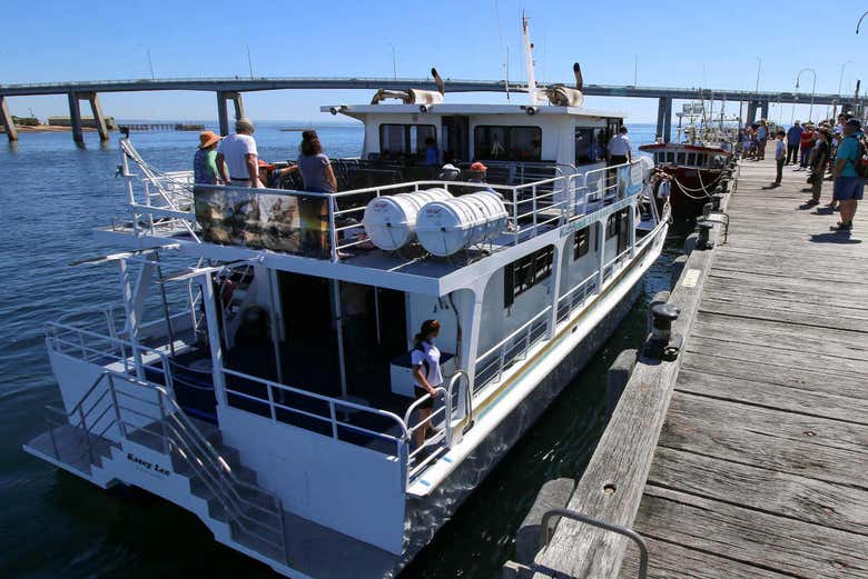 Balade en bateau à Phillip Island