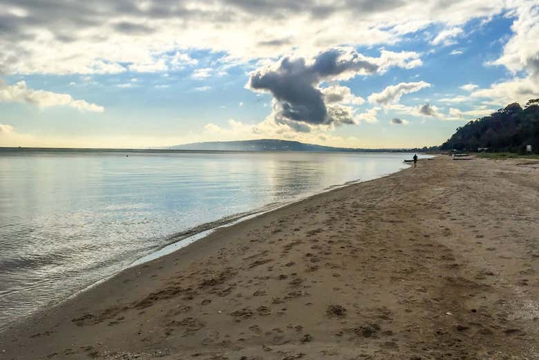 Plage du défilé de pingouins de Phillip Island