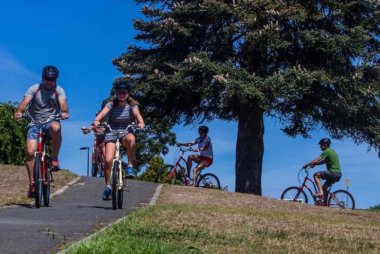 Bike Tour in Launceston Book Online at