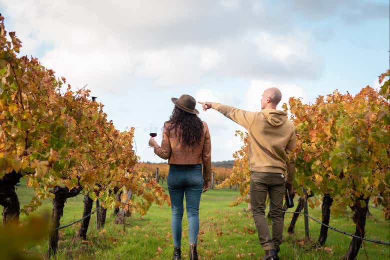 Passeando pelos vinhedos de uma vinícola em Margaret River