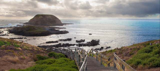 Excursión a la Isla Phillip al completo