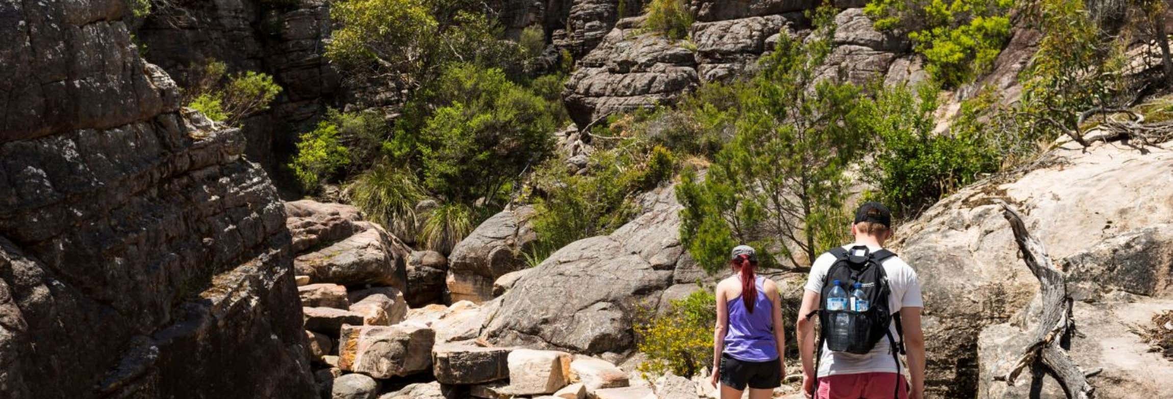 Excursiones de un día en Melbourne