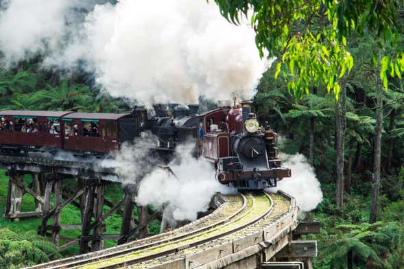 Excursão ao Santuário de Healesville + Trem Puffing Billy