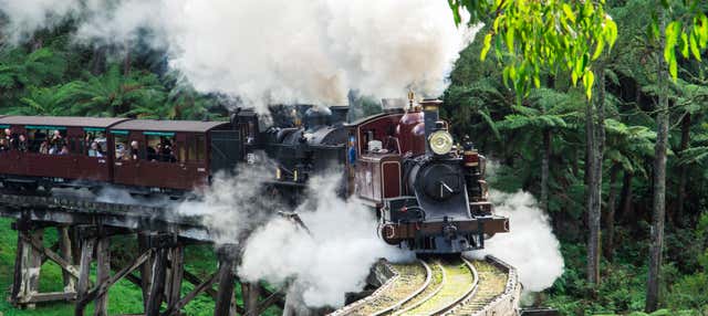 Excursión al Santuario de Healesville + Tren Puffing Billy