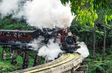 Excursão ao Santuário de Healesville + Trem Puffing Billy