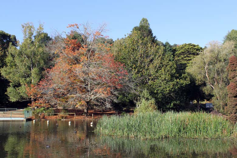Natureza no Emerald Lake Park