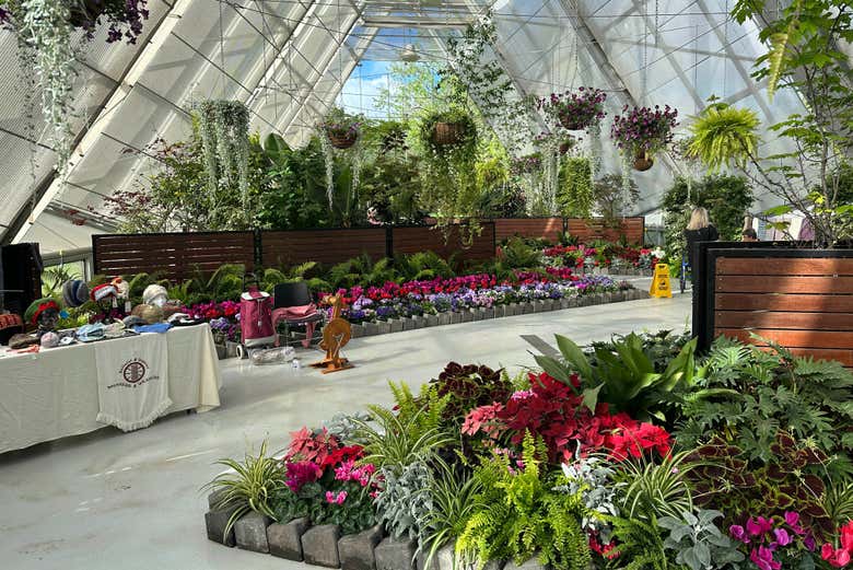 Take a look inside the greenhouse