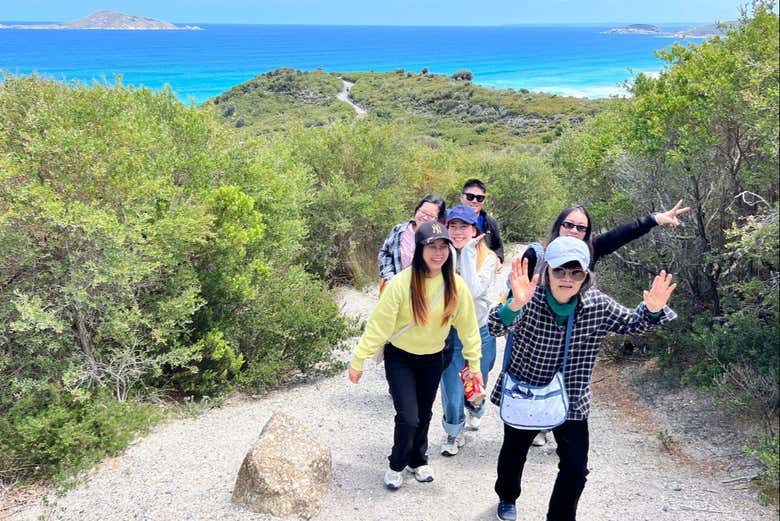 Caminos del Parque Nacional Promontorio Wilsons