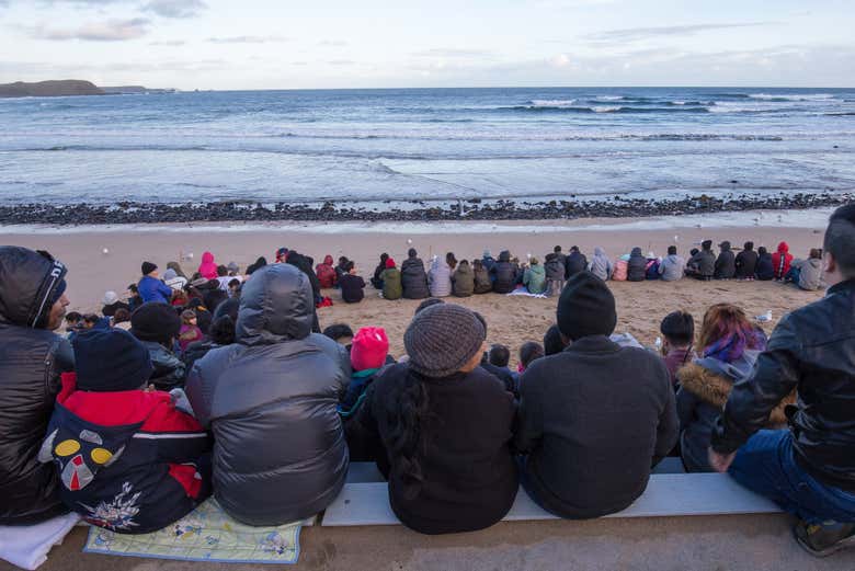 Disfrutando del desfile de pingüinos en la Isla Phillip
