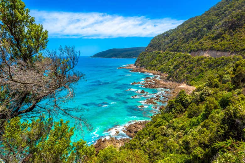 Os esperan vistas impresionantes en la Gran Carretera Oceánica