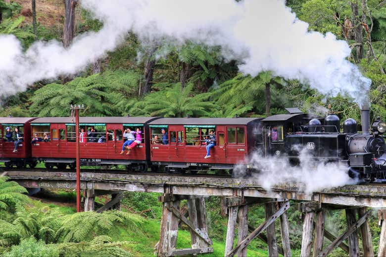 Pasearemos en el tren de vapor Puffing Billy