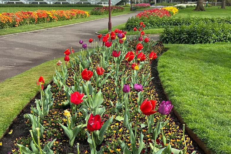 Las flores de temporada