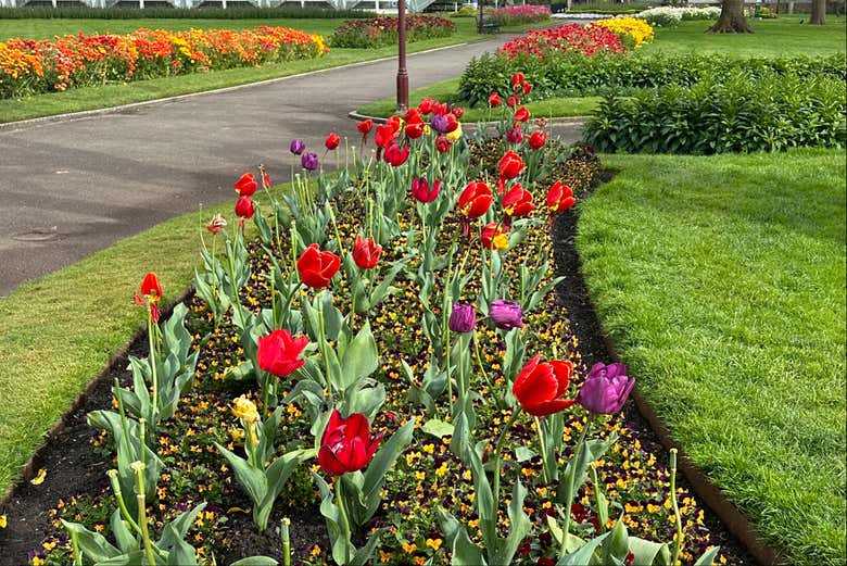 Admire the seasonal flowers