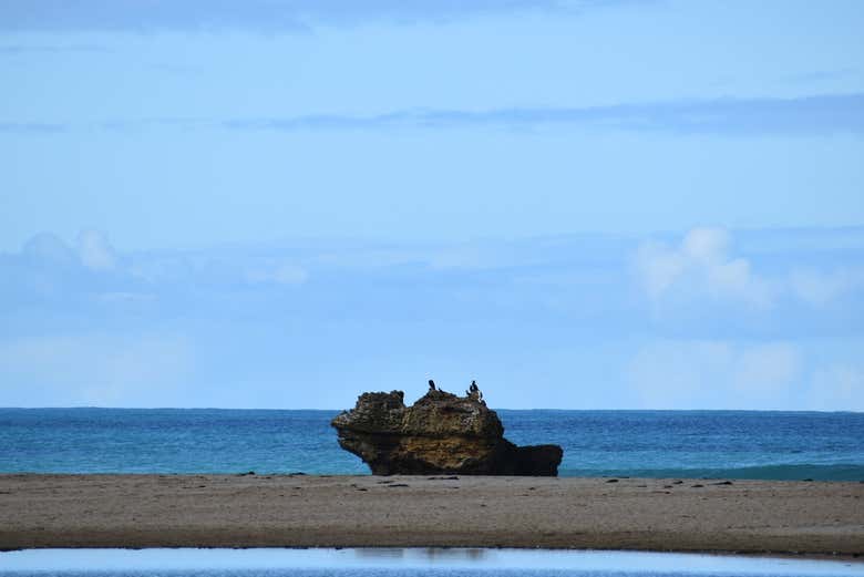 Taking in the fresh sea air