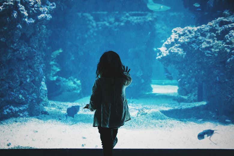 Aquarium de Melbourne