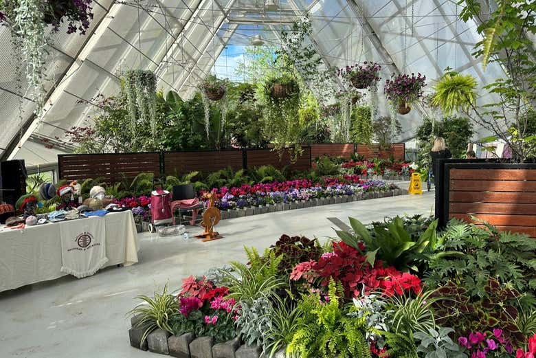 Los interiores del invernadero