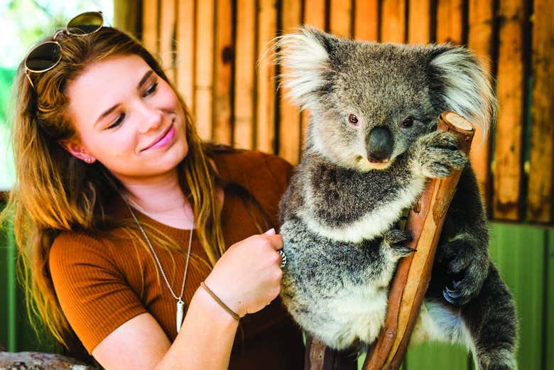 Con un koala en Maru Animal Park