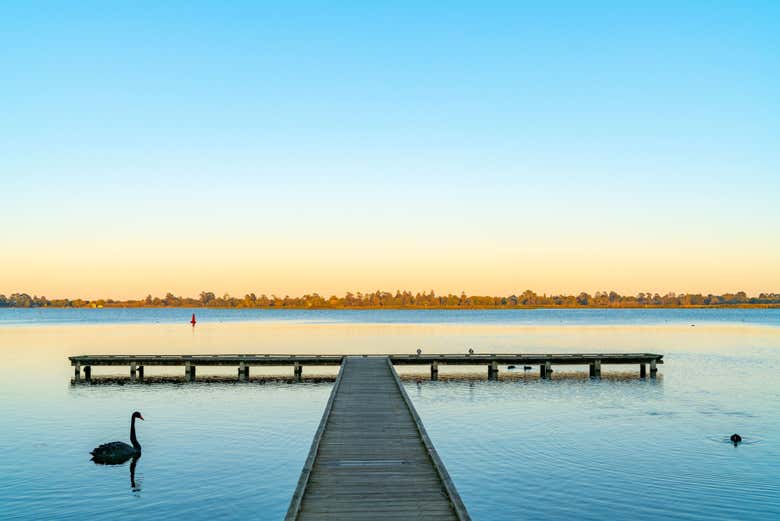 Witness the serenity of Lake Wendouree