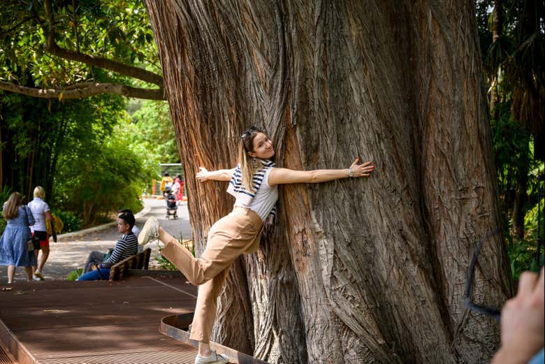Una ragazza abbraccia un albero nei giardini di Melbourne