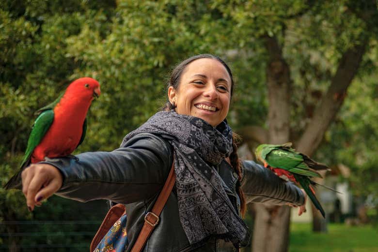 Conoceremos algunos simpáticos pájaros