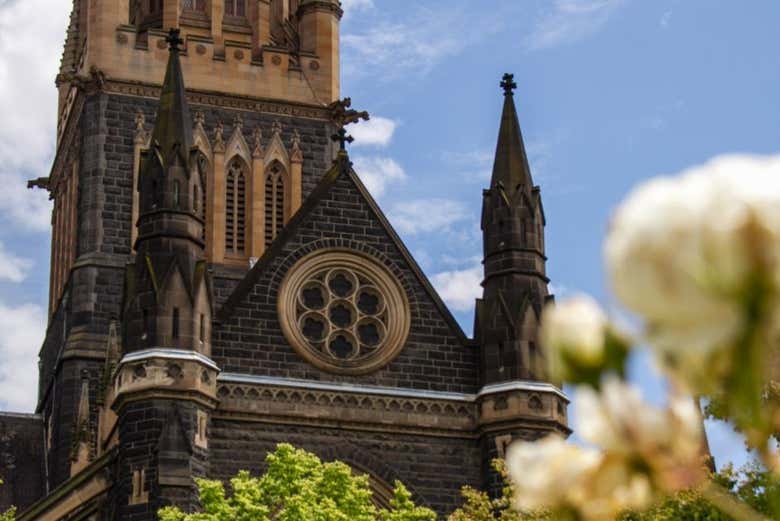 Admirez des sites comme la cathédrale Saint-Patrick