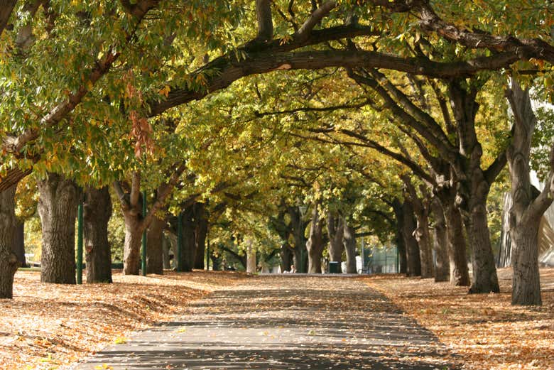 Jardines Carlton, declarado Patrimonio de la Humanidad