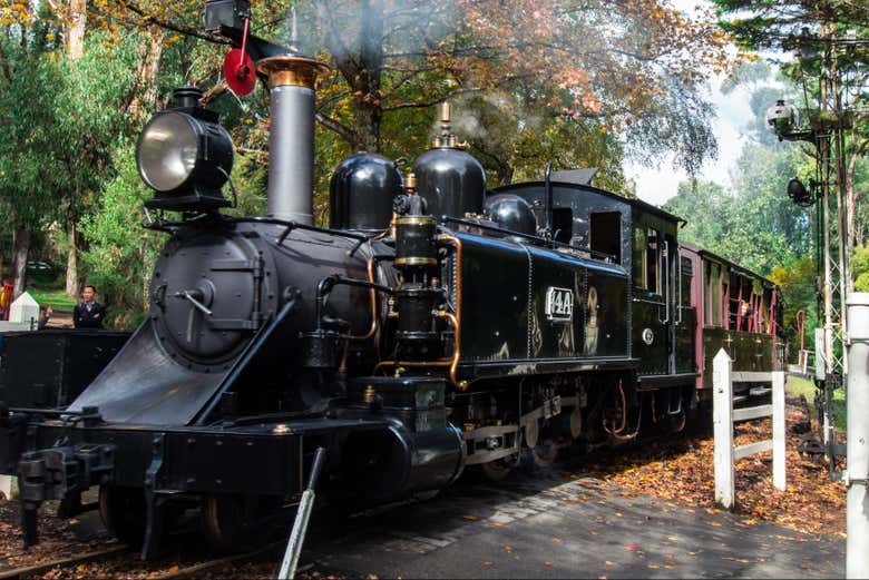 Tren listo para comenzar la ruta
