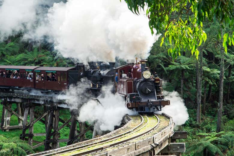 Riding on the Puffing Billy train