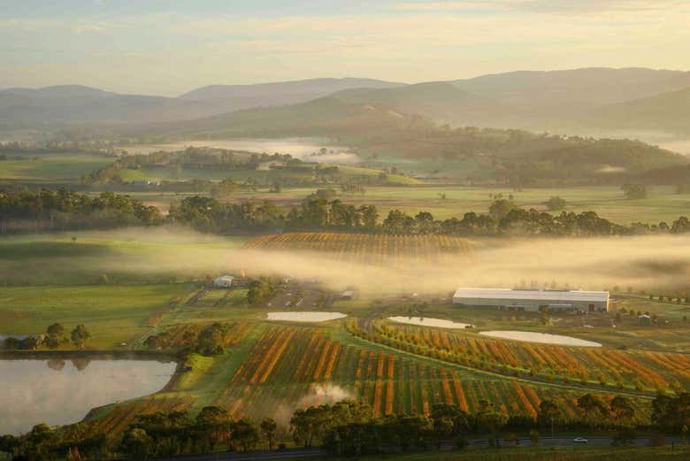 Vista desde el globo del valle de Yarra