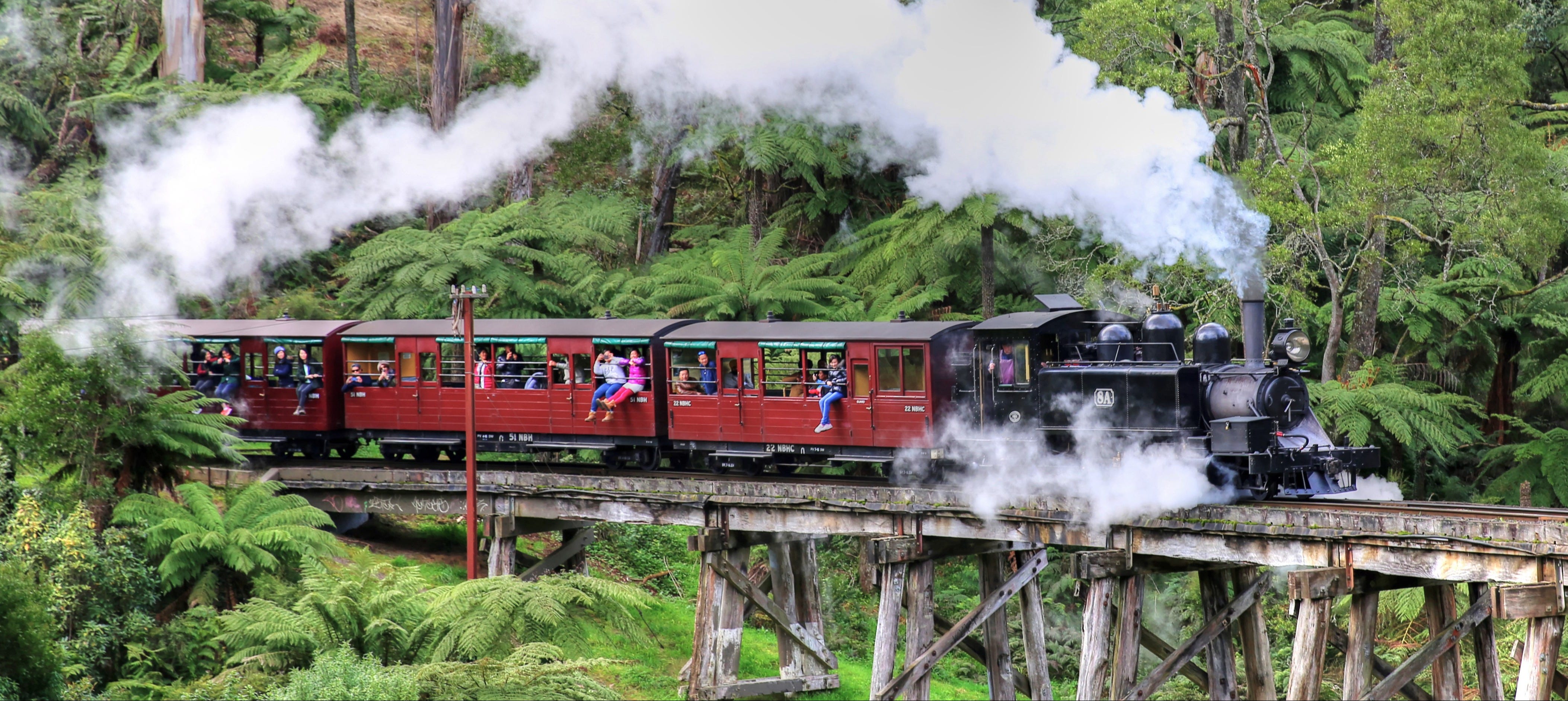 Tren Puffing Billy + Desfile de pingüinos en la Isla Phillip