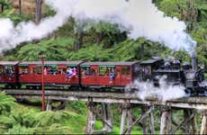 Tren Puffing Billy + Desfile de pingüinos en la Isla Phillip