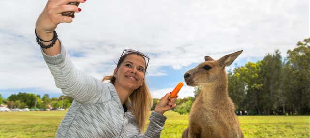 Chip eSIM com internet na Austrália